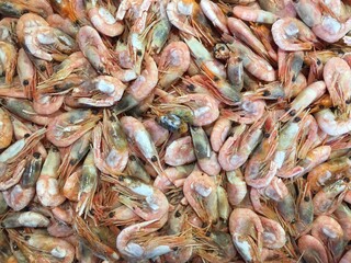 fresh shrimp at the market