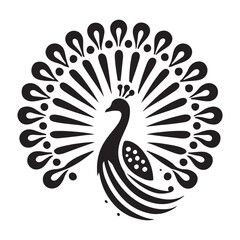 Majestic Peacock with Open Feathers