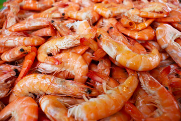 shrimps on the market