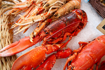 lobster isolated on white background