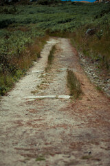 Obraz premium Detalhe de caminho 