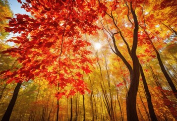 Fototapeta premium vibrant autumn leaves captured soft natural light showcasing rich colors texture harmonious natural setting, fall, nature, landscape, tree, forest, foliage