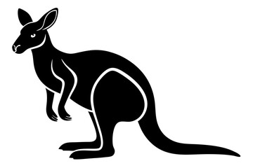 kangaroo illustration