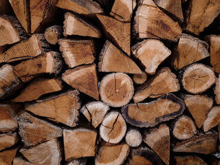 Pieces of firewood.