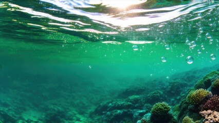 Under the ocean with bubbles and sunlight streaming through the surface with bokeh green water clear tropical fresh turquoise ocean