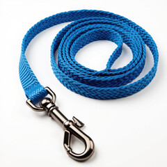 Blue Dog Leash isolated on a white background