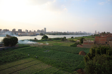 The Nile bank before sunset