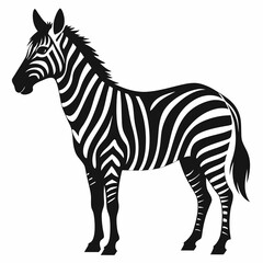 zebra vector illustration