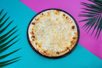 Four Cheese Gourmet Delight with a Golden Crust