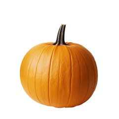 Obraz premium A vibrant orange pumpkin ready for autumn decorations and festive celebrations