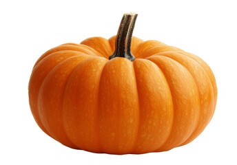 Fototapeta premium Bright orange pumpkin on a white background, ideal for autumn decorations or cooking