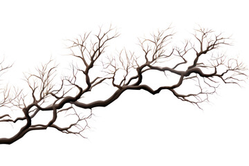 Fototapeta premium PNG Tree branches sketch plant white background.