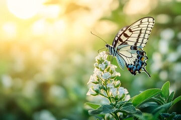 Close-up of a butterfly sitting on a flower with copy space
