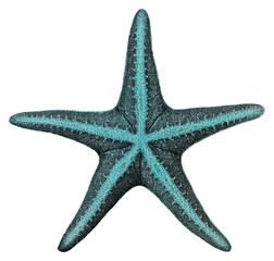 PNG Starfish invertebrate underwater echinoderm.