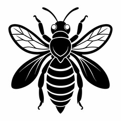 bee and flower