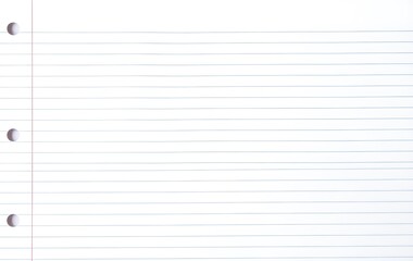 Fototapeta premium Lined paper background. White notebook sheet with blue grid banner