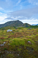 Fototapeta premium 富山県 立山室堂平の紅葉