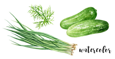 Hand-Painted Watercolor Fresh Green Onion, Dill, and Cucumbers Illustration