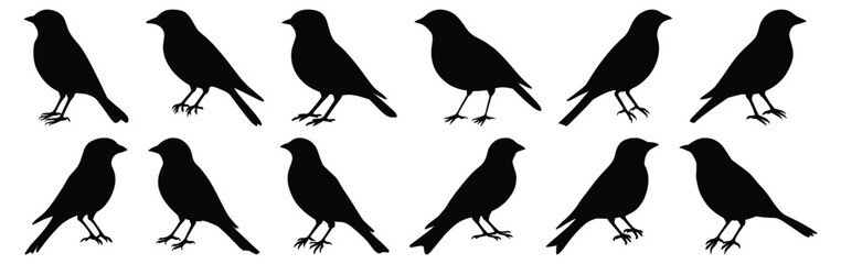 Bird silhouettes set, animal pack of vector silhouette design, isolated background.