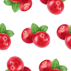 Seamless Watercolor Lingonberry Pattern on White Background
