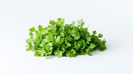 Obraz premium Fresh, vibrant parsley leaves, known for their rich green hue, are elegantly displayed on a pristine white background. Captured in isolation