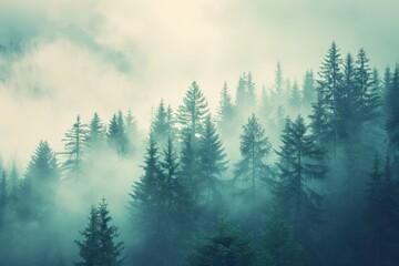 Obraz premium A forest with trees in the background and a foggy sky, generative ai image