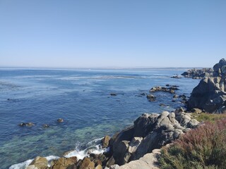 Bay View off Trail of Cliffside Coastline