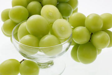 シャインマスカット　　白バック