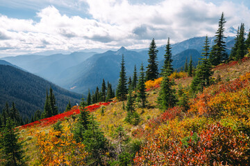 View of Mount Rainier Valley from Naches Peak Loop Trail, autumn colors in Mt. Rainier National Park