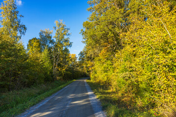 Quiet rural road surrounded by lush autumn trees with green and yellow leaves under bright blue sky. Sweden.