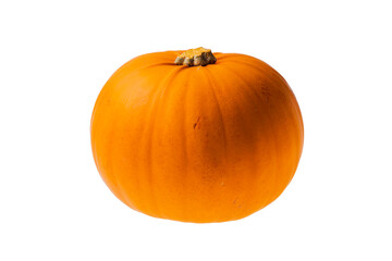Whole round orange pumpkin isolated on white background.