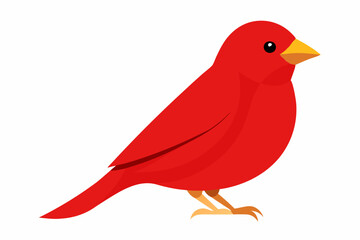 Red canary on its perch vector art illustration 
