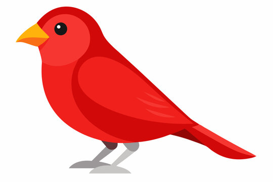 recommend clip art: Red canary on its perch vector art illustration 