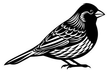  Cute  canary bird vector art illustration