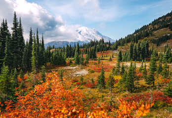 Mount Rainier view from Naches Peak Loop Trail, autumn colors in Mt. Rainier National Park