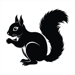 Squirrel silhouette vector