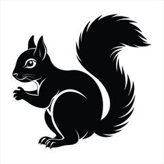 Squirrel silhouette vector