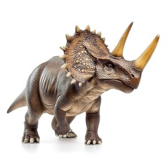 Fototapeta premium Ornithischia, Triceratops isolated on white background 