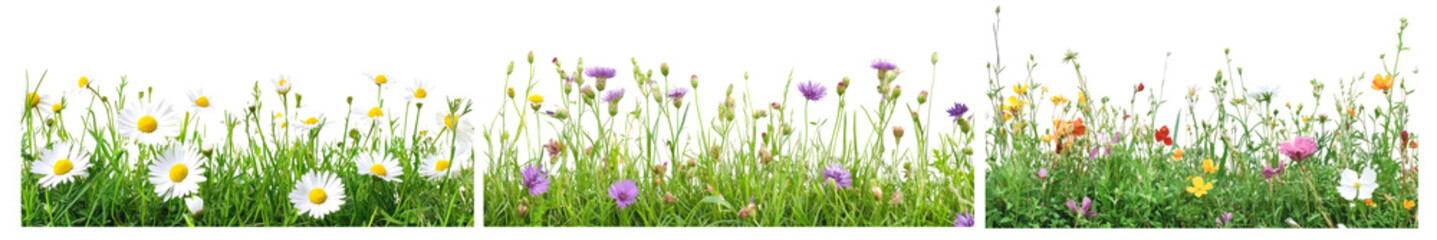 Wildflower border png cut out element set