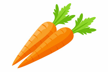 Fresh carrots vector art illustration