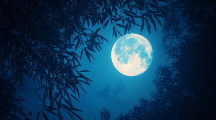 Fototapeta premium A large, bright full moon shines in the night sky, partially obscured by silhouetted tree branches.