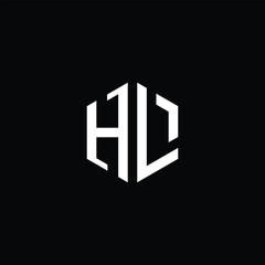 Minimalist Hexagonal HL Lettermark Logo