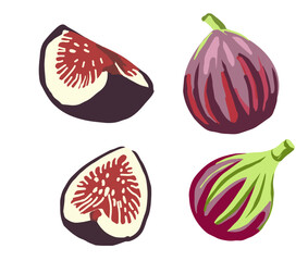 いちじくのイラスト