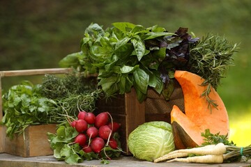 Different fresh herbs and vegetables on wooden table outdoors