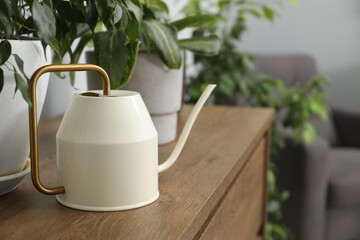 Watering can and beautiful houseplants on wooden chest of drawers indoors