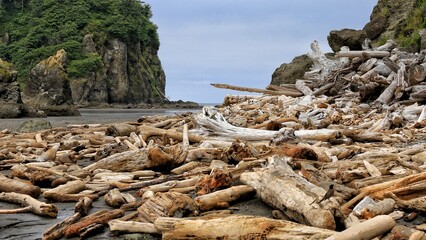Ruby Beach, Driftwood Logs, Olympic National Park, Pacific Coast, Washington