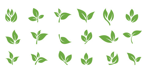 Green leaf icons set, ecology nature element vector, Leaves of trees and plants, bio, vegan labels.