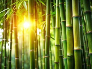 Obraz premium High Depth of Field Image of Bamboo Cane for Nature and Gardening Themes