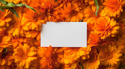 Obraz premium top view of orange flowers for background with blank white postcard for text