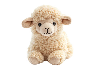 sheep isolated on white